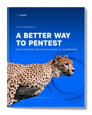synack-case-studies-eBook-cover-tb